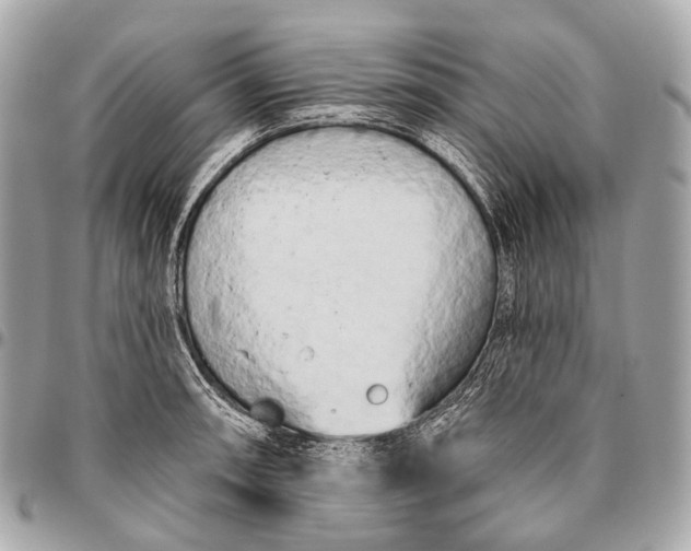 X0000096451090200802071806