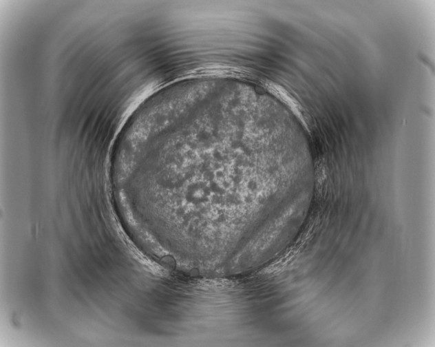 X0000096451091200802071806