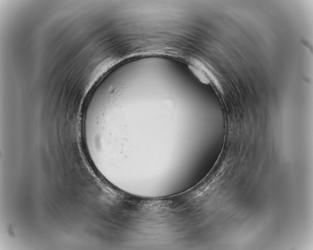 X0000096451093200802071806