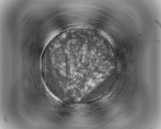 X0000096451095200802071805