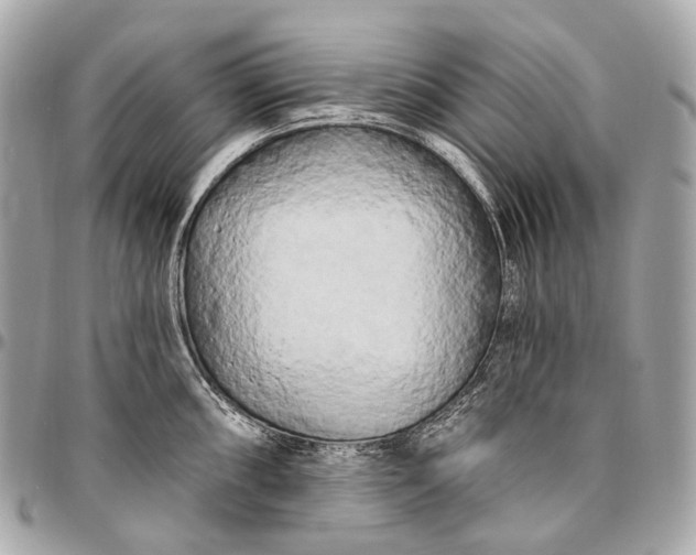 X0000096451098200802071805