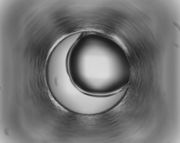 X0000096451100200802071805