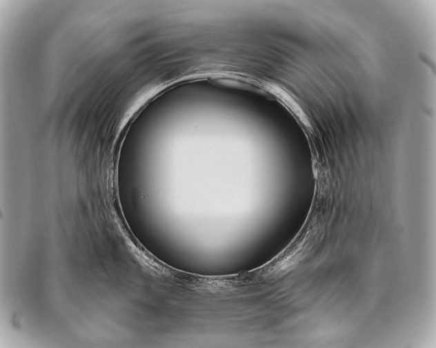 X0000096451101200802071805