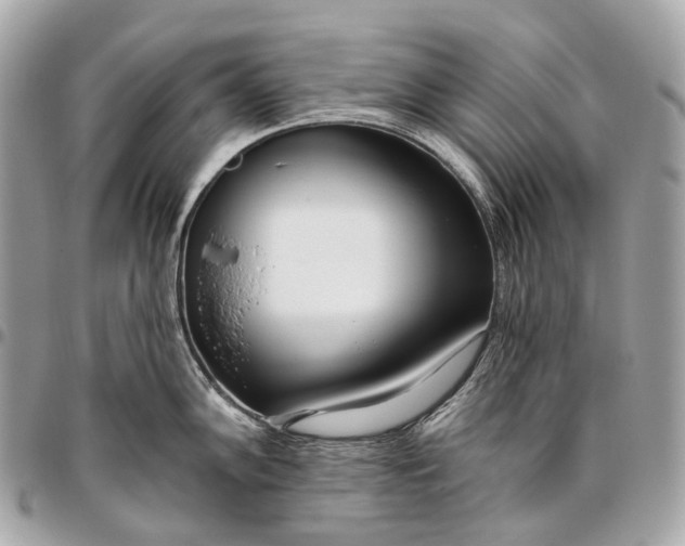 X0000096451102200802071805