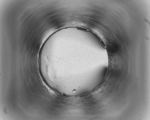 X0000096451103200802071805