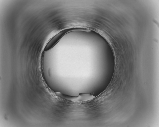 X0000096451104200802071805