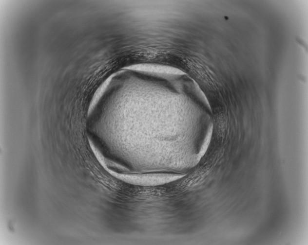 X0000096451105200802071805