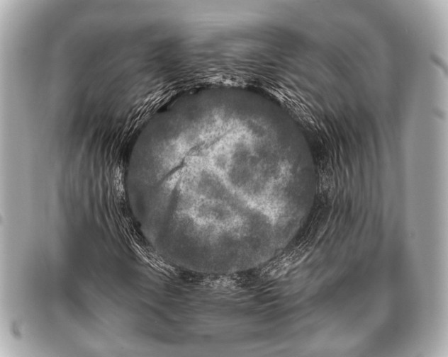 X0000096451106200802071805