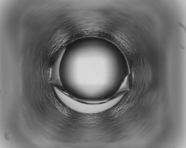 X0000096451108200802071805