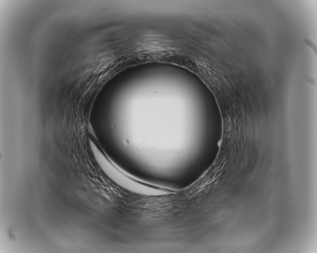 X0000096451109200802071805