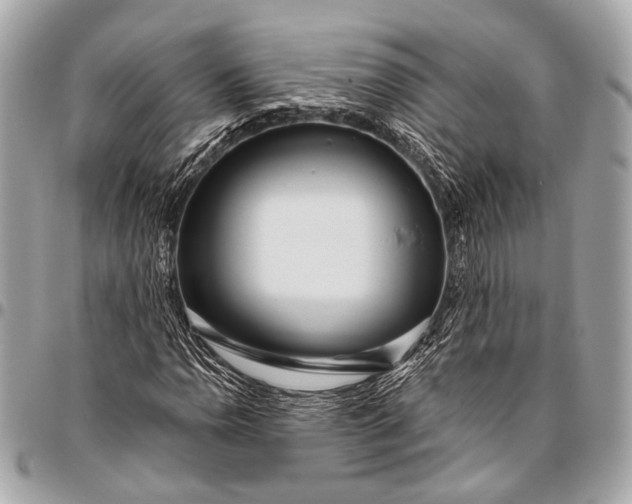 X0000096451110200802071805