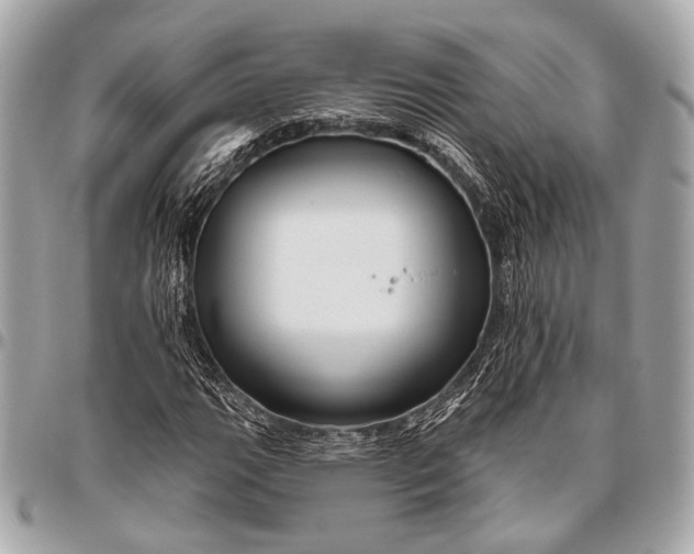 X0000096451111200802071805