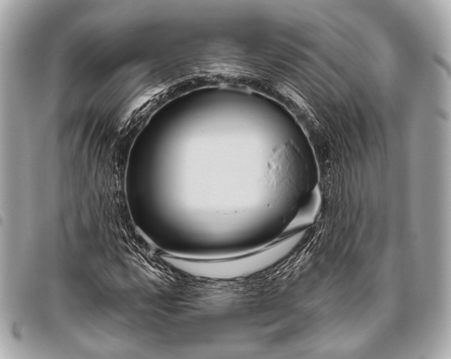 X0000096451112200802071805