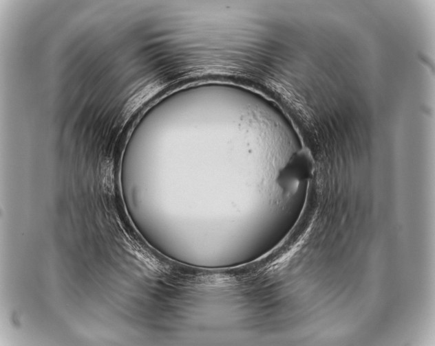 X0000096451113200802071805