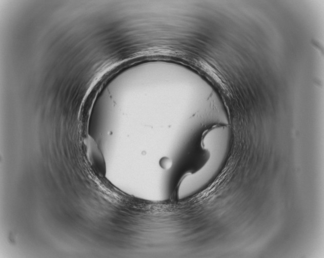 X0000096451116200802071805