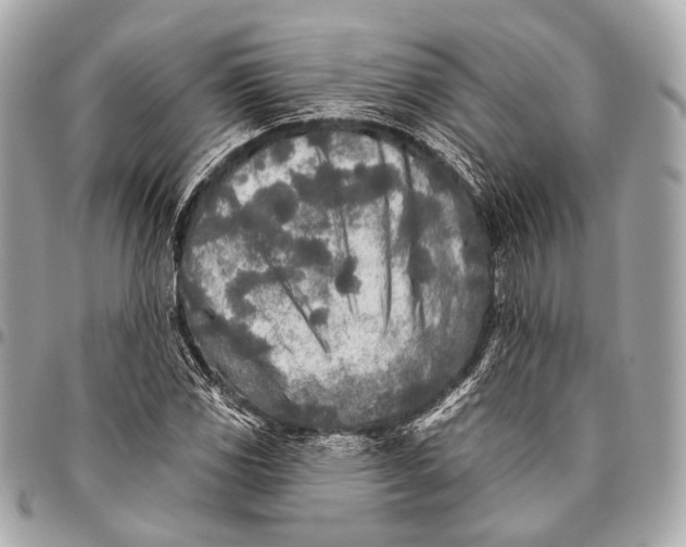 X0000096451117200802071805