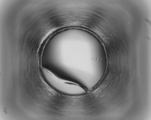 X0000096451118200802071805