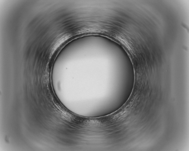 X0000096451119200802071805