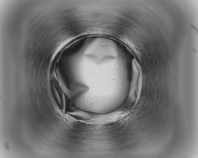 X0000096451120200802071805