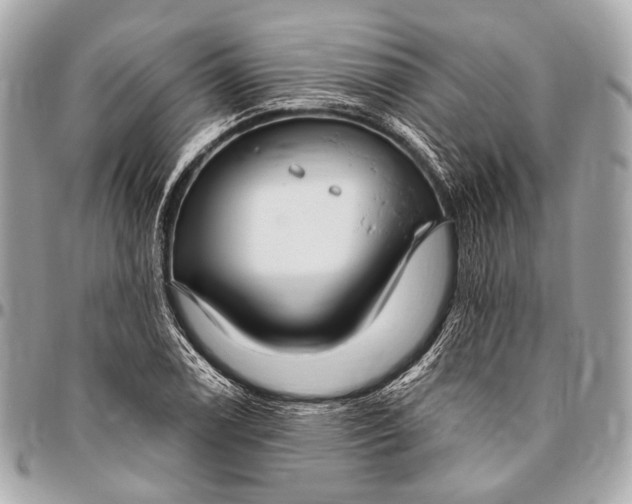 X0000096451122200802071805