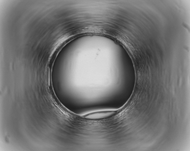 X0000096451123200802071805