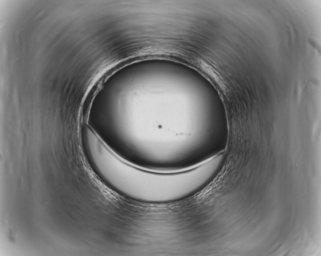 X0000096451124200802071805