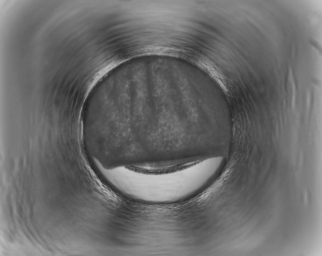 X0000096451125200802071805