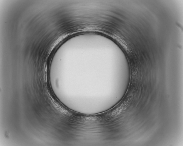 X0000096451126200802071805