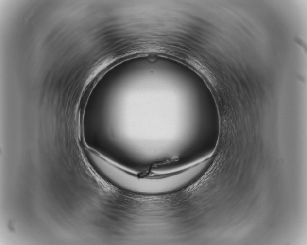 X0000096451127200802071805