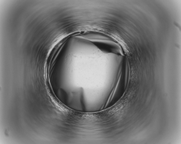 X0000096451128200802071805