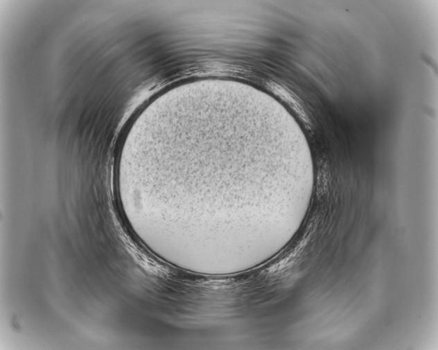 X0000096451130200802071805