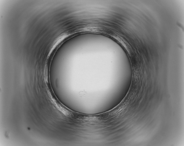 X0000096451131200802071805