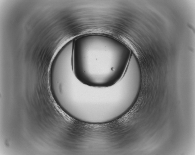 X0000096451132200802071805