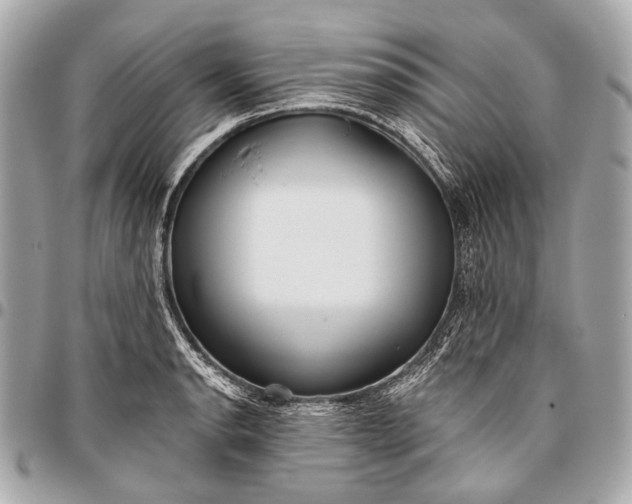 X0000096451134200802071805