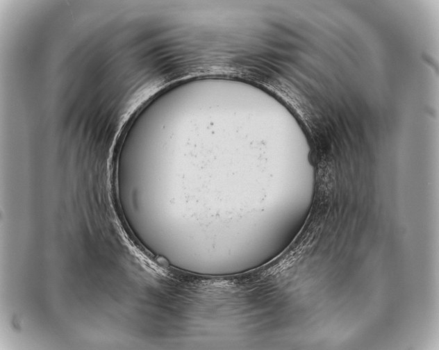 X0000096451135200802071805