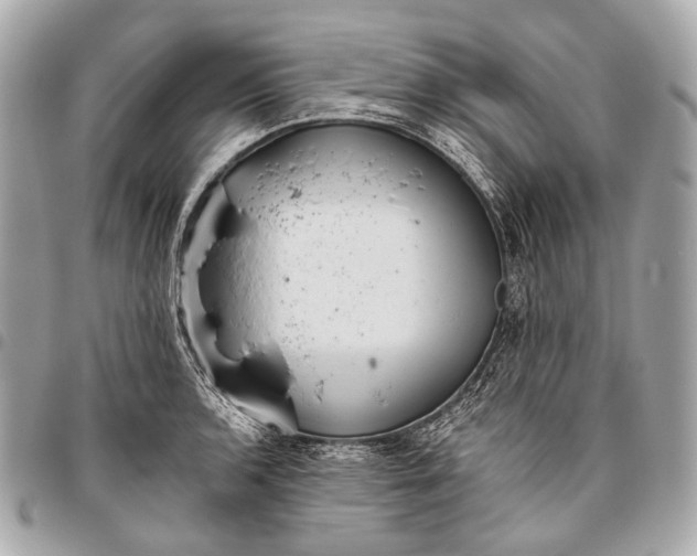 X0000096451136200802071805