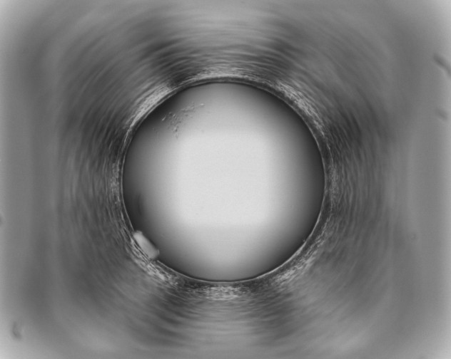 X0000096451137200802071805