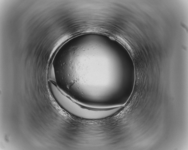 X0000096451138200802071805