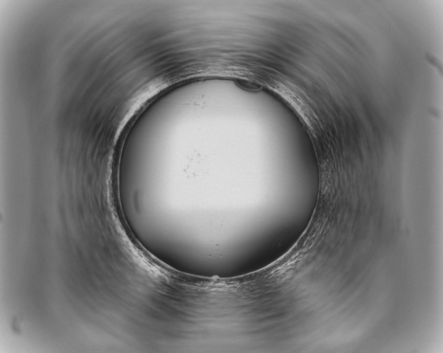 X0000096451139200802071805