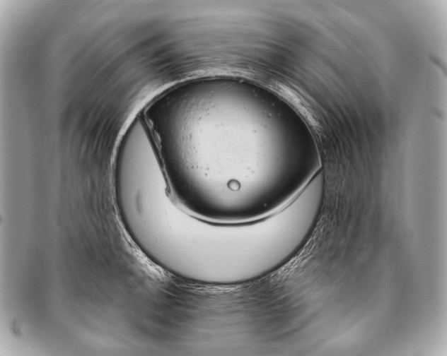 X0000096451140200802071805