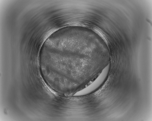 X0000096451141200802071805