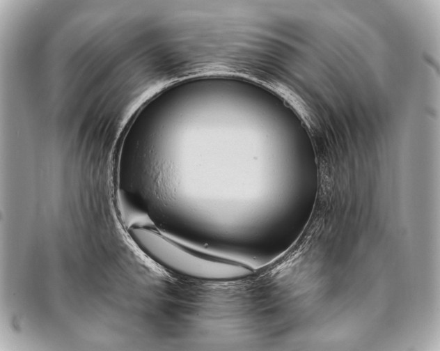 X0000096451142200802071805