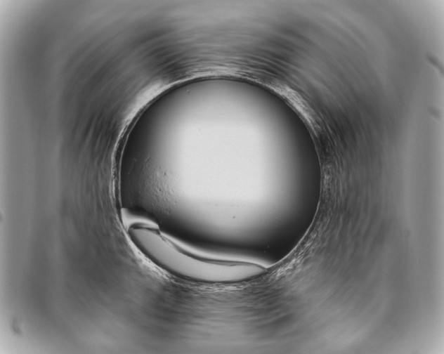 X0000096451143200802071805