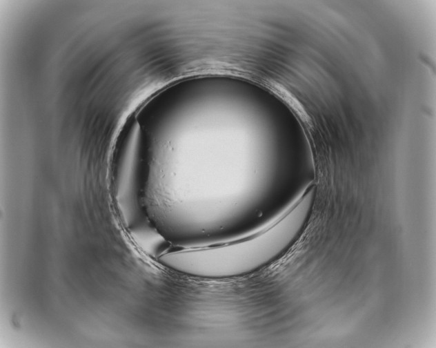 X0000096451144200802071805