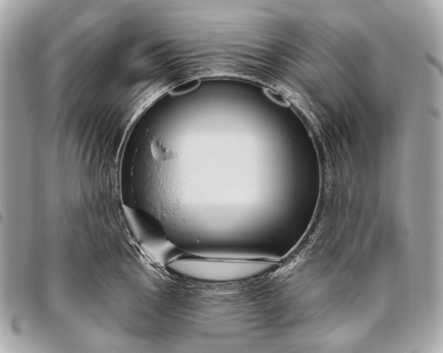 X0000096451145200802071805