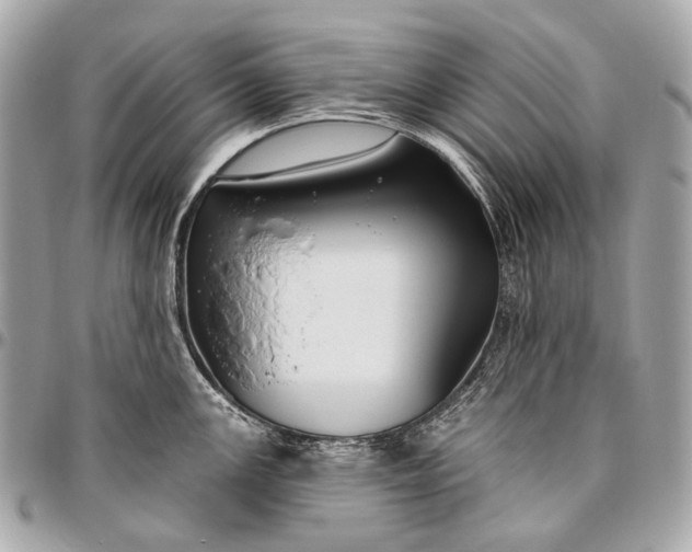 X0000096451147200802071805