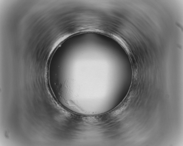 X0000096451149200802071805