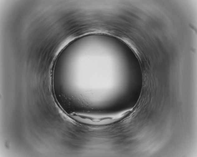 X0000096451151200802071805