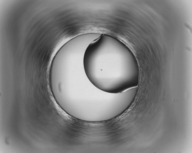 X0000096451152200802071805