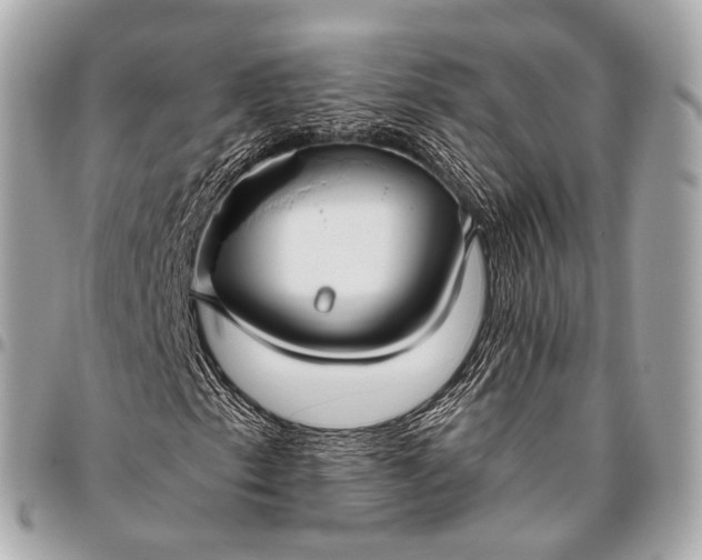 X0000096451153200802071805